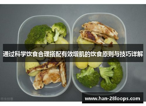 通过科学饮食合理搭配有效增肌的饮食原则与技巧详解