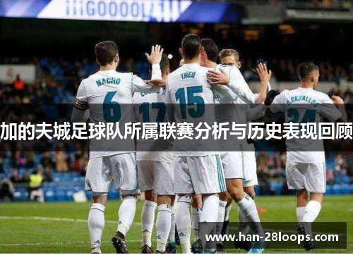 加的夫城足球队所属联赛分析与历史表现回顾