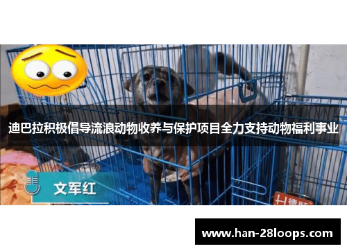 迪巴拉积极倡导流浪动物收养与保护项目全力支持动物福利事业 迪巴拉积极倡导流浪动物收养与保护项目全力支持动物福利事业
