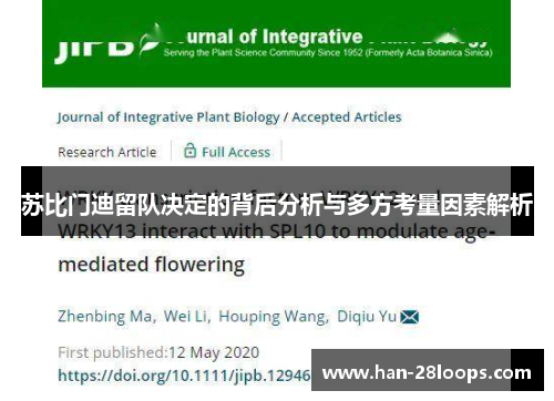 苏比门迪留队决定的背后分析与多方考量因素解析 苏比门迪留队决定的背后分析与多方考量因素解析